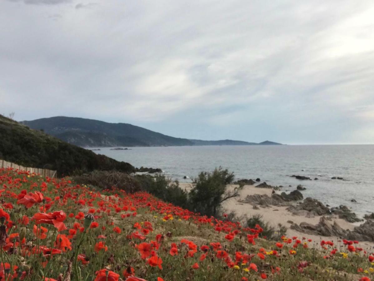 Grand Appartement Style Loft Bord De Mer Propriano  Exterior foto